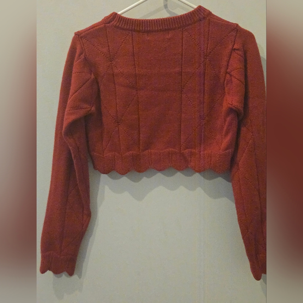 Rust Cropped Knit Sweater - Picture 6 of 6